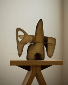 Artefacto 02 de Federico Stefanovich