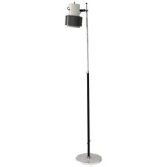 Arteluce Floor Lamp in Grey and White