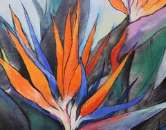 "Srelitzia. Bird of Paradise"
