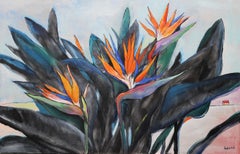 „Srelitzia. „Paradiesvogel“