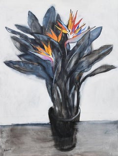 "Strelitzia (oiseau de paradis)"