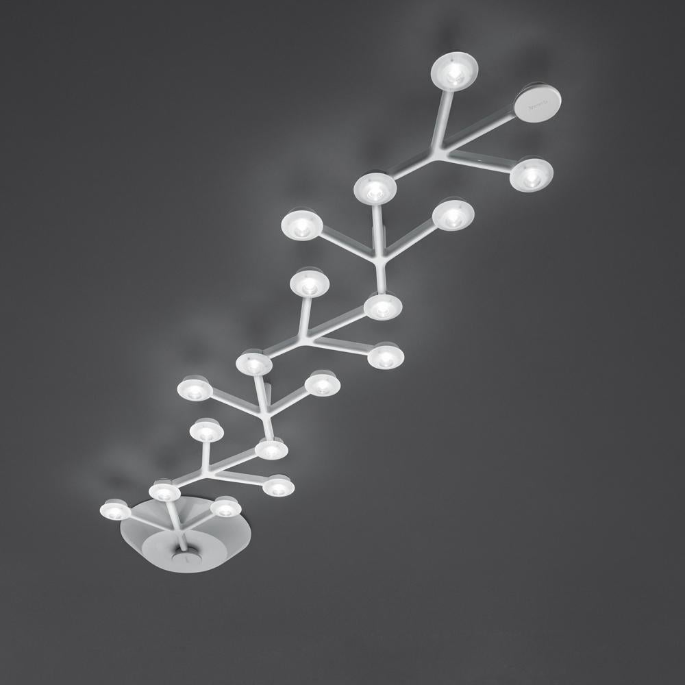 Un assemblage en forme de vigne de LED à haute efficacité énergétique disposées le long d'une structure en aluminium peint qui crée des possibilités de personnalisation infinies. Lentille transparente en méthacrylate avec porte-lentille en