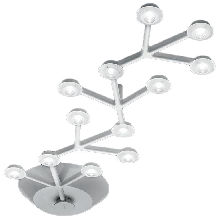 Artemide Net 66 LED Ceiling Light by Michele De Lucchi & Alberto Nason For Sale