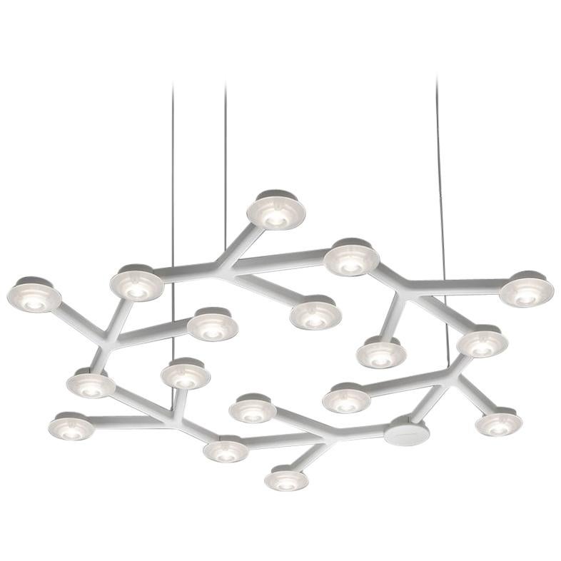 Lampe à suspension circulaire LED Artemide Net de Michele De Lucchi & Alberto Nason
