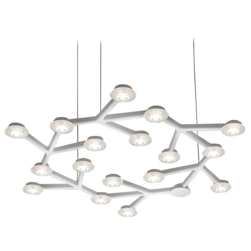 Artemide Net Circular Led Pendant Light with Extension, Michele De Lucchi & Albe For Sale