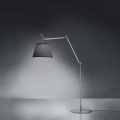 Artemide Tolomeo Mega Outdoor Floor Lamp with Black Diffuser