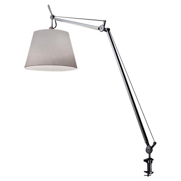Artemide Tolomeo Mega Table Lamp with Silver Diffuser and Clamp For Sale