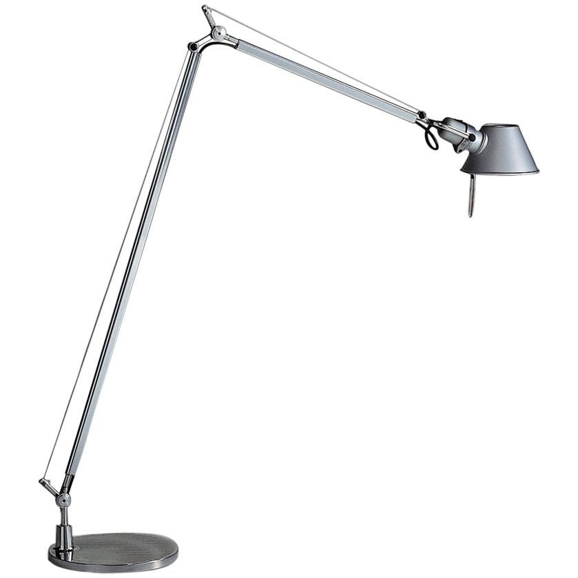 Artemide Tolomeo Reading Lamp in Gray by Michele De Lucchi & Giancarlo Fassina For Sale