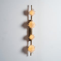 Artemis II Wall Lamp by Aver