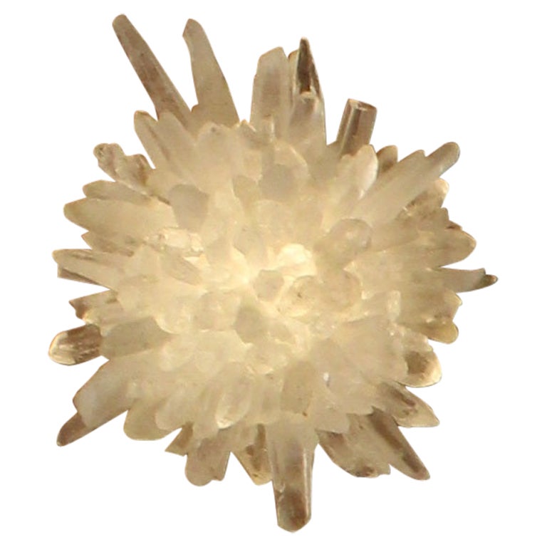 Artemis IV Wall Lamp by Aver