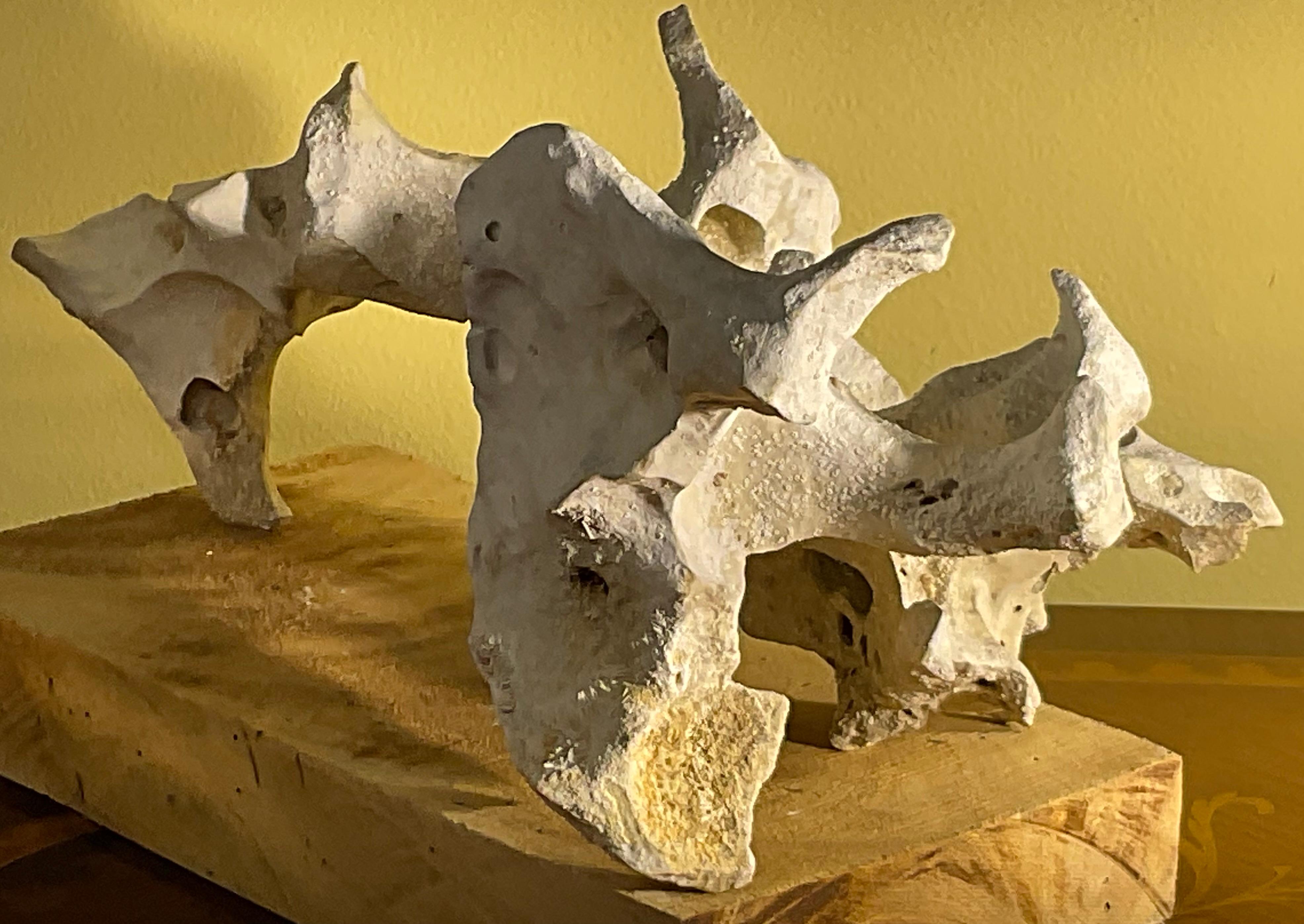 Scultura artistica in pietra naturale su base di legno di mango - Unique Organic Modern-Decor in vendita 5