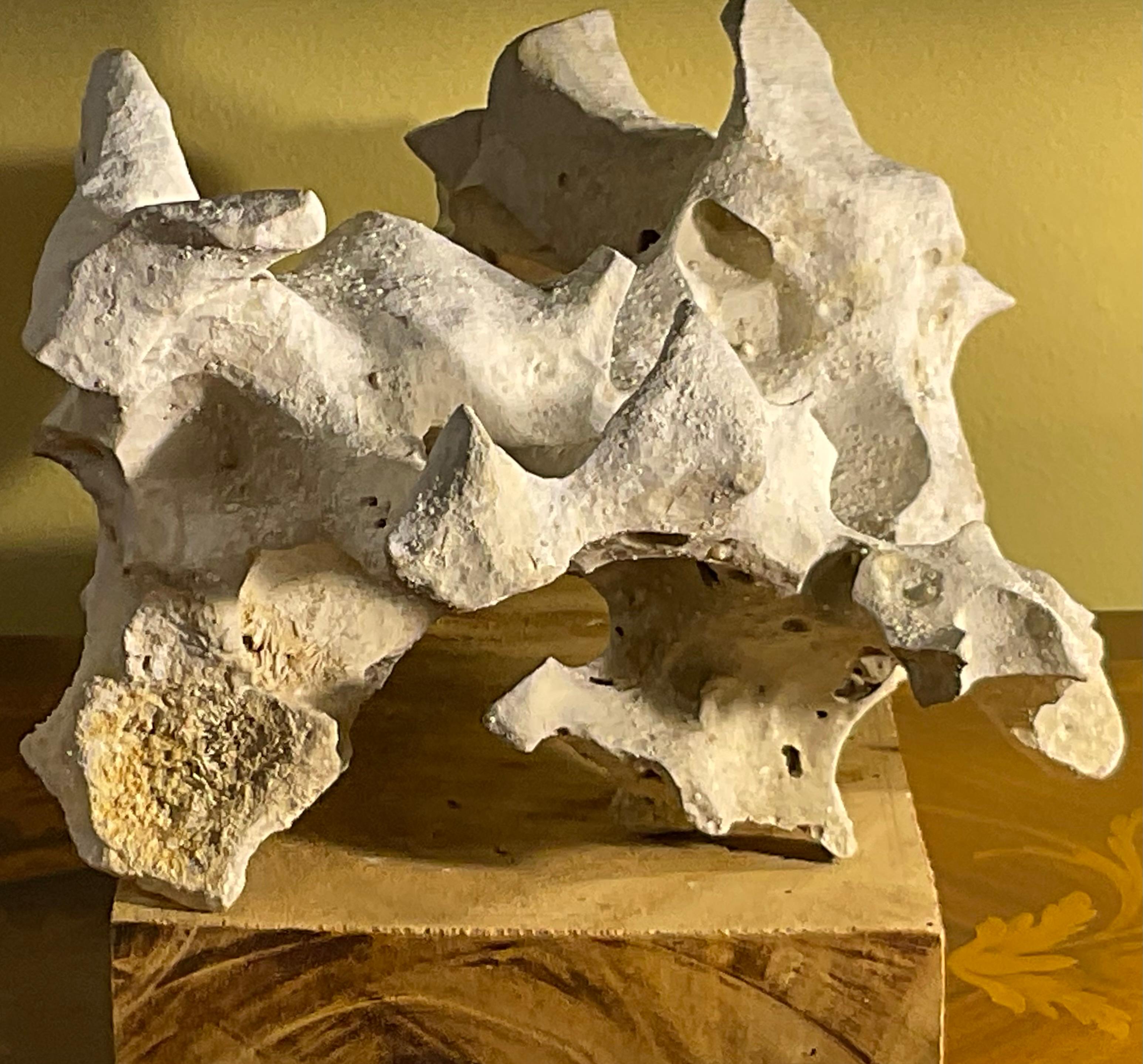 Scultura artistica in pietra naturale su base di legno di mango - Unique Organic Modern-Decor in vendita 6