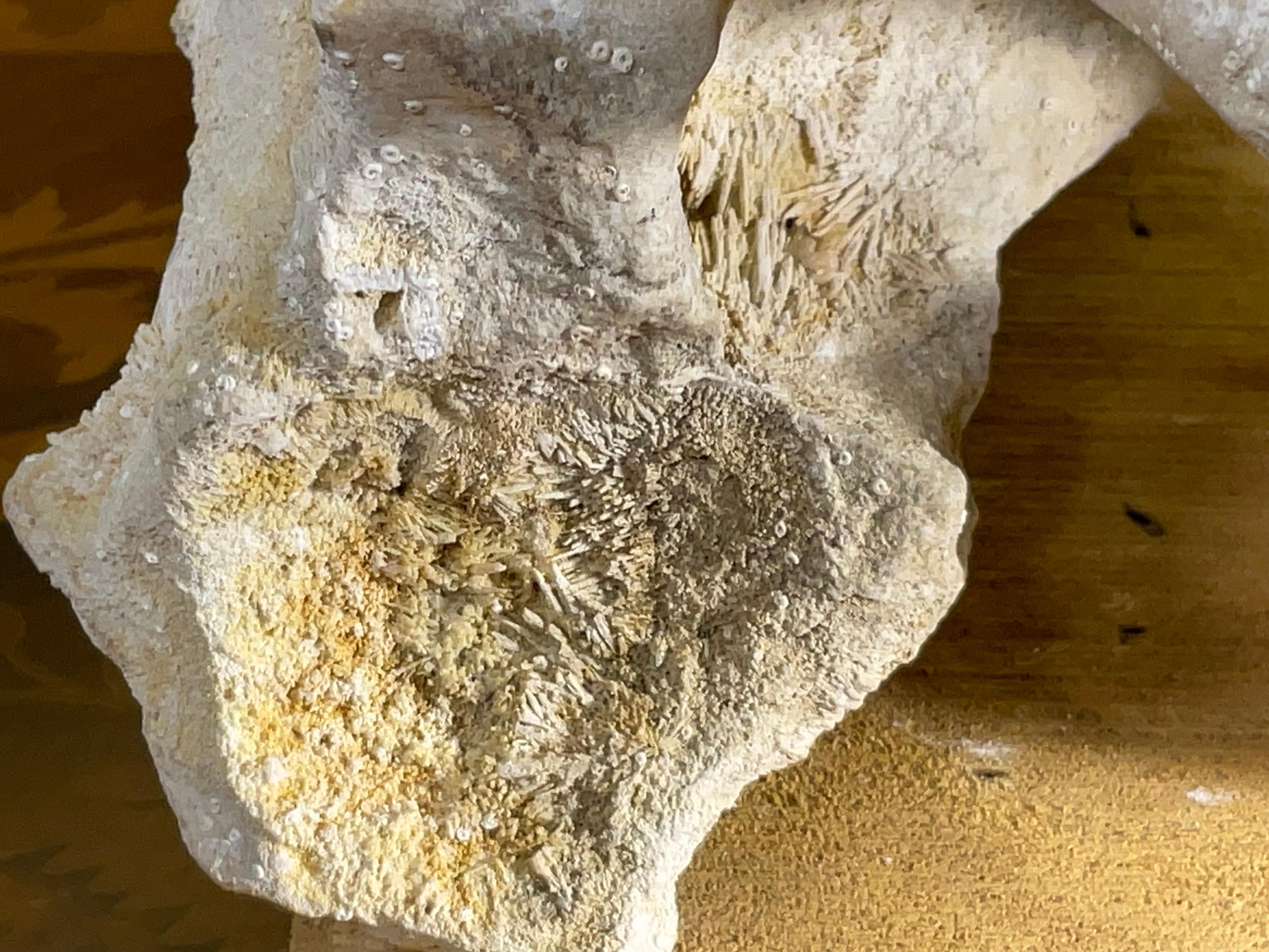 Scultura artistica in pietra naturale su base di legno di mango - Unique Organic Modern-Decor in vendita 7