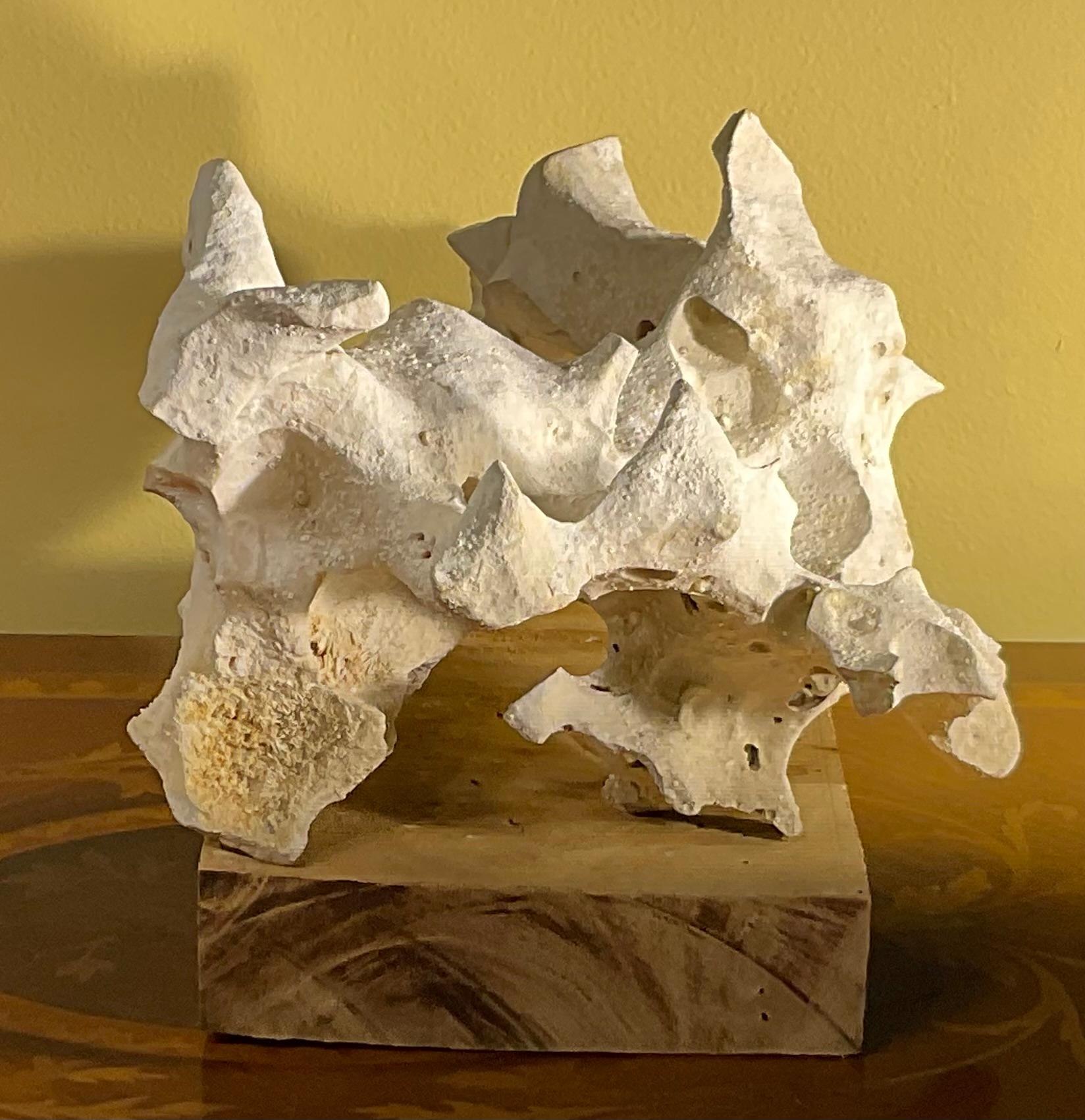 Scultura artistica in pietra naturale su base di legno di mango - Unique Organic Modern-Decor in vendita 8