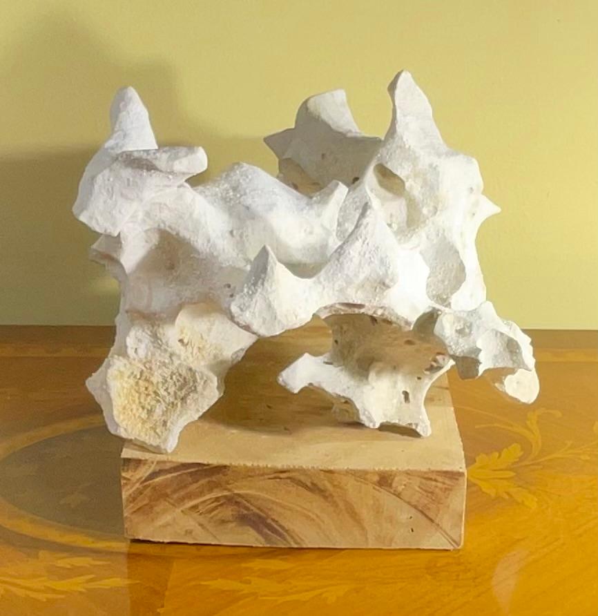 Scultura artistica in pietra naturale su base di legno di mango - Unique Organic Modern-Decor in vendita 9