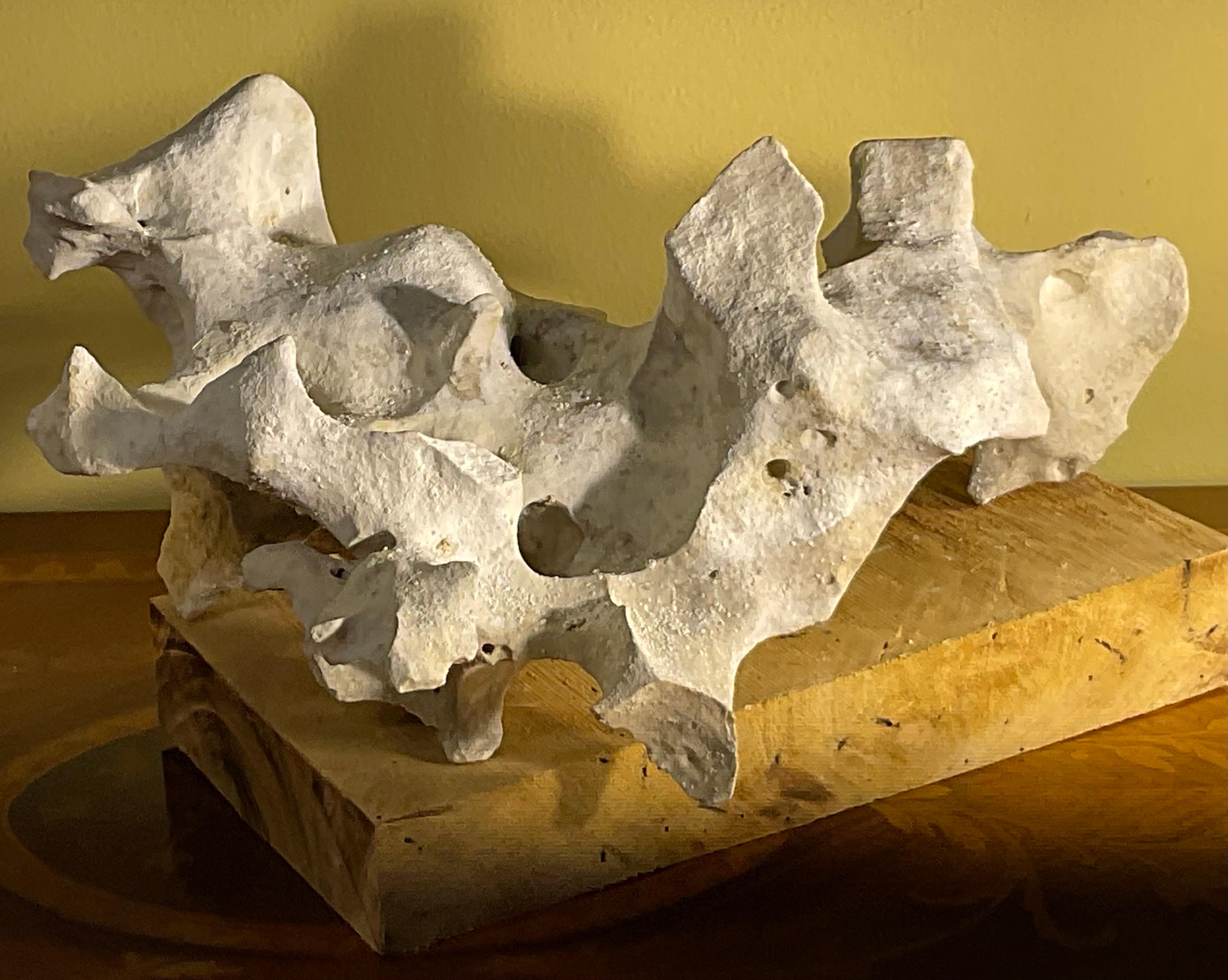 Scultura artistica in pietra naturale su base di legno di mango - Unique Organic Modern-Decor in vendita 10