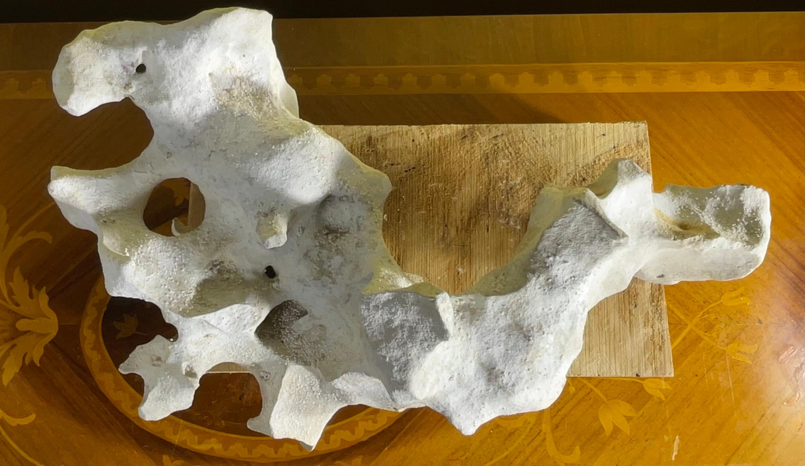 Scultura artistica in pietra naturale su base di legno di mango - Unique Organic Modern-Decor in vendita 11