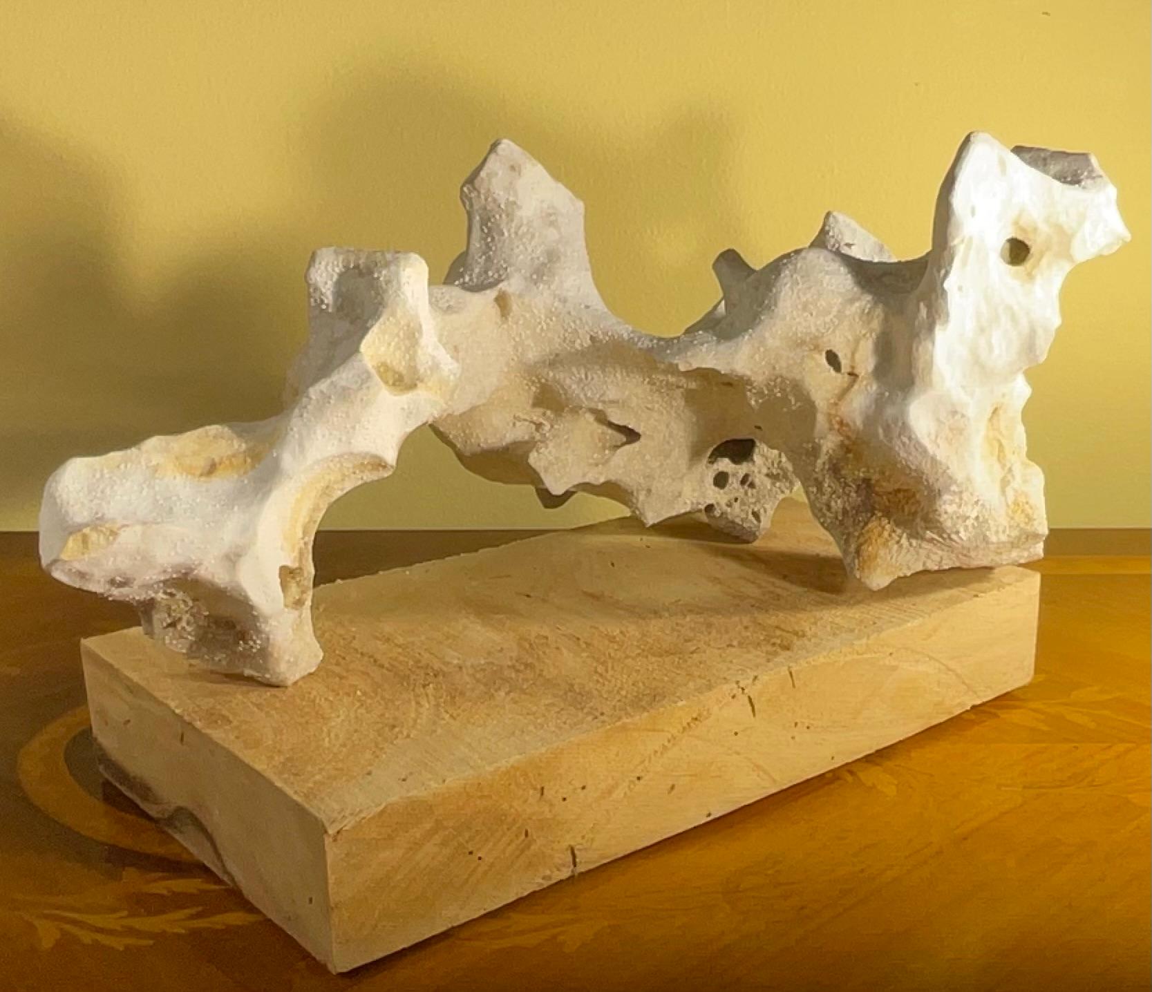 Scultura artistica in pietra naturale su base di legno di mango - Unique Organic Modern-Decor in vendita 12