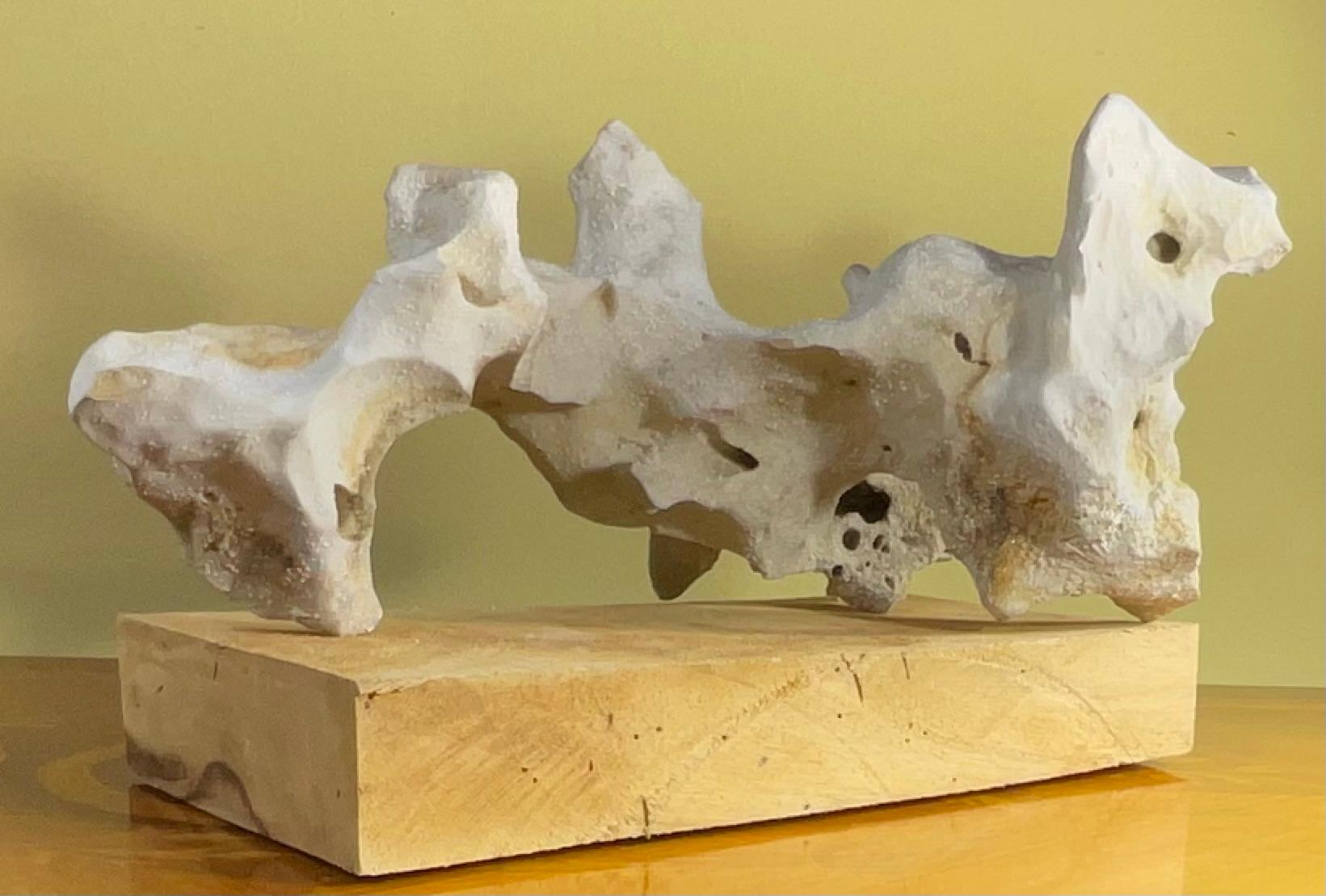 Scultura artistica in pietra naturale su base di legno di mango - Unique Organic Modern-Decor in vendita 13