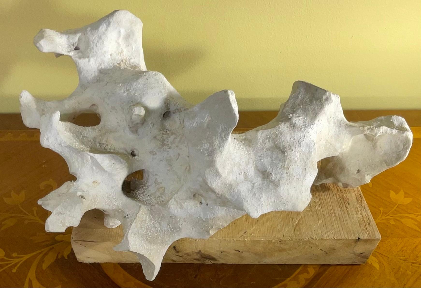 
Cattura l'essenza della natura e del design moderno e organico con questo modello.  scultura in pietra unica nel suo genere, montata su una solida base in legno di mango lavorata a mano. Questo pezzo è un oggetto d'arte accattivante, perfetto per