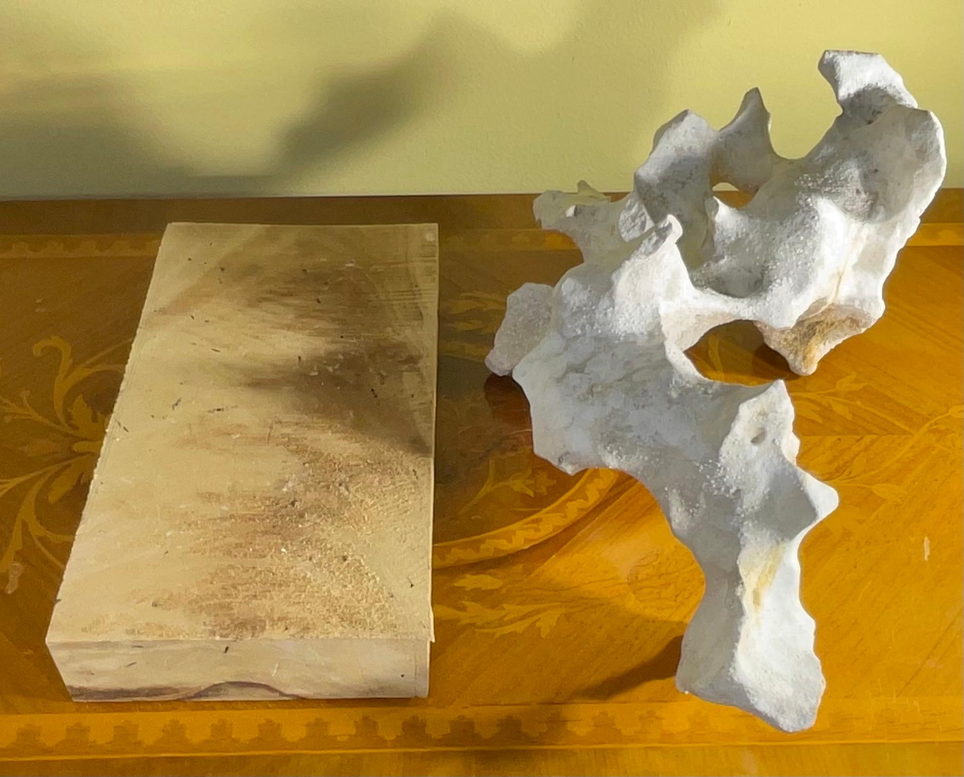 Scultura artistica in pietra naturale su base di legno di mango - Unique Organic Modern-Decor in vendita 14