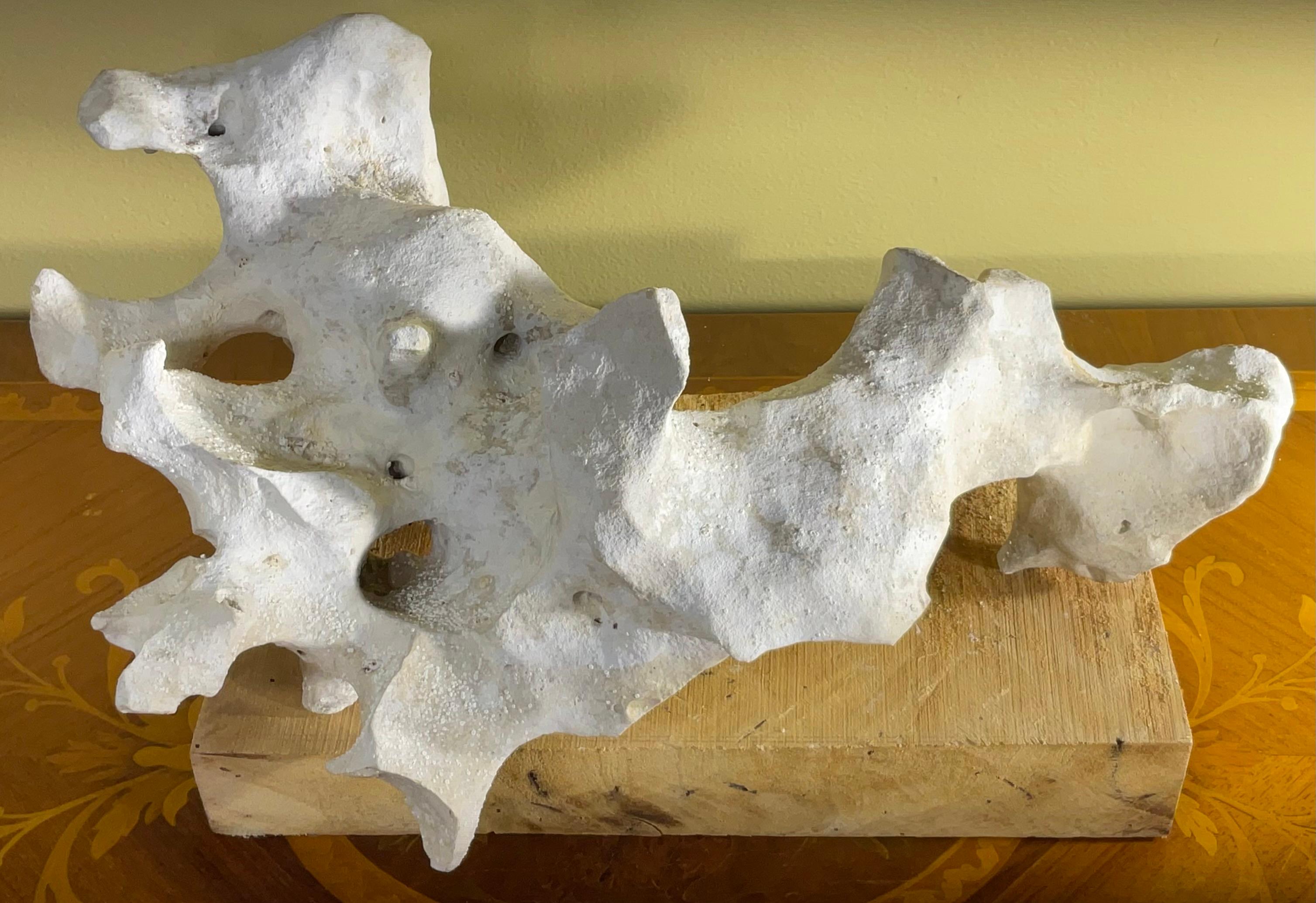 Americano Scultura artistica in pietra naturale su base di legno di mango - Unique Organic Modern-Decor in vendita