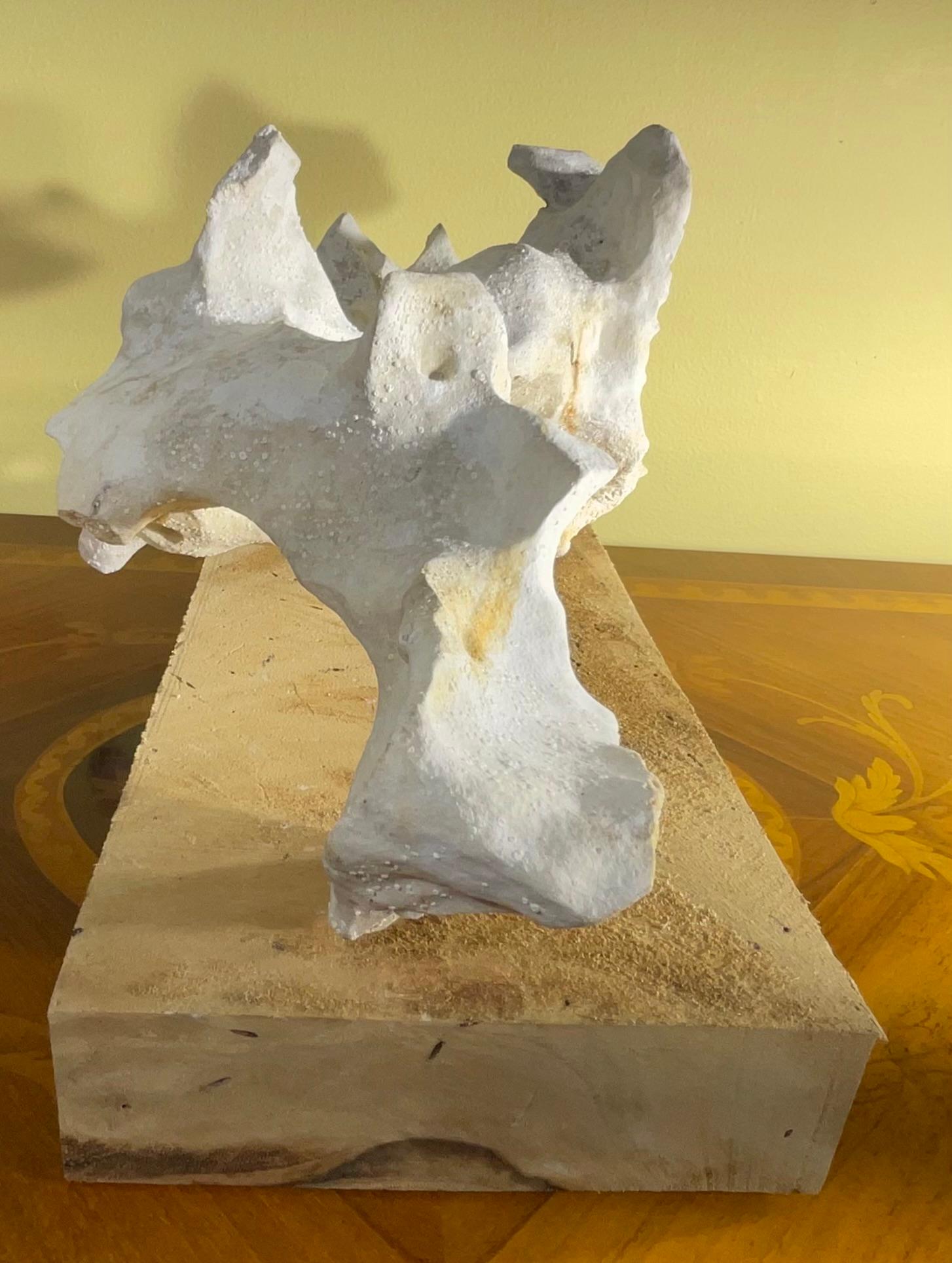 Scultura artistica in pietra naturale su base di legno di mango - Unique Organic Modern-Decor In condizioni buone in vendita a Delray Beach, FL