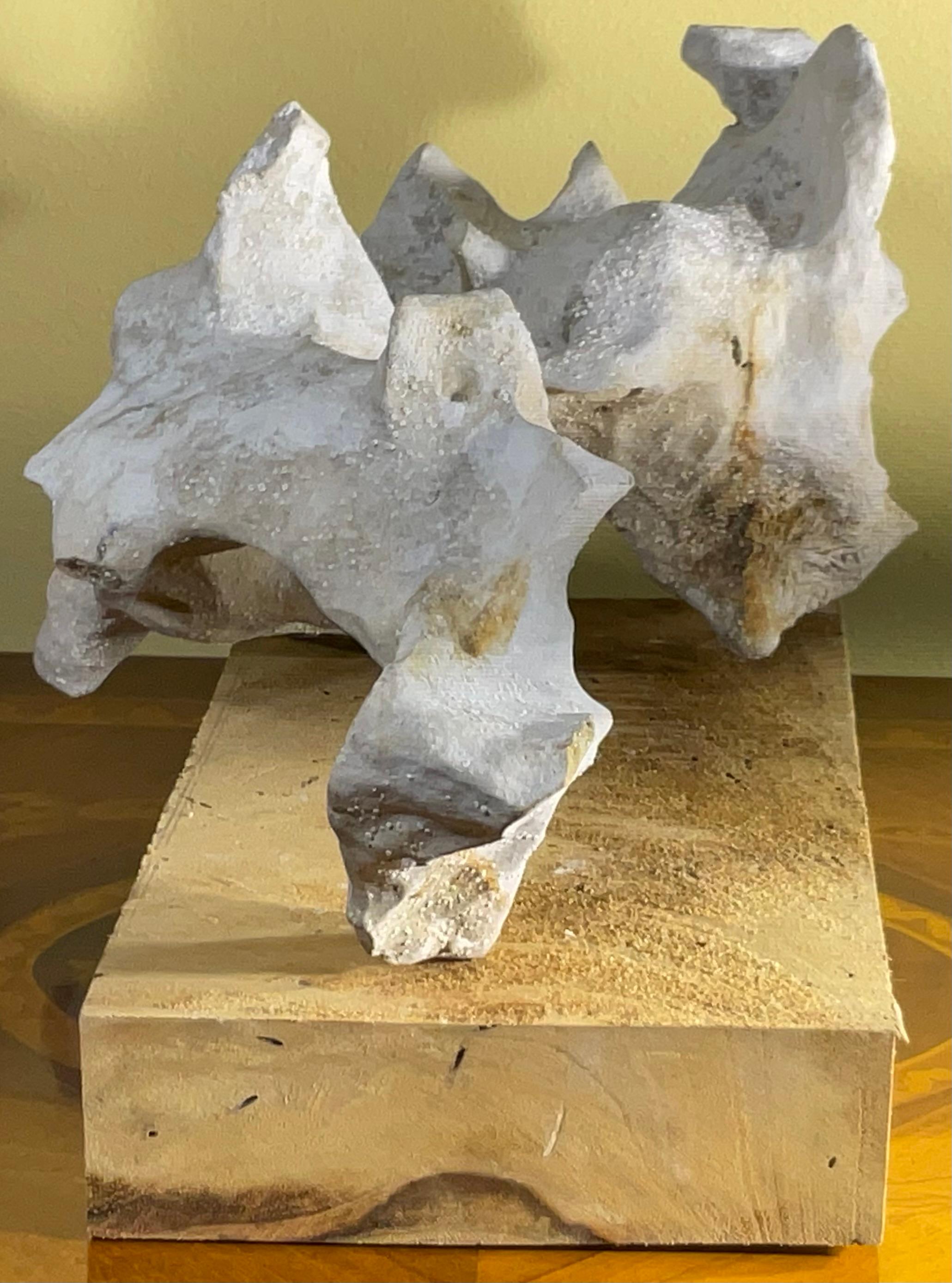 XX secolo Scultura artistica in pietra naturale su base di legno di mango - Unique Organic Modern-Decor in vendita