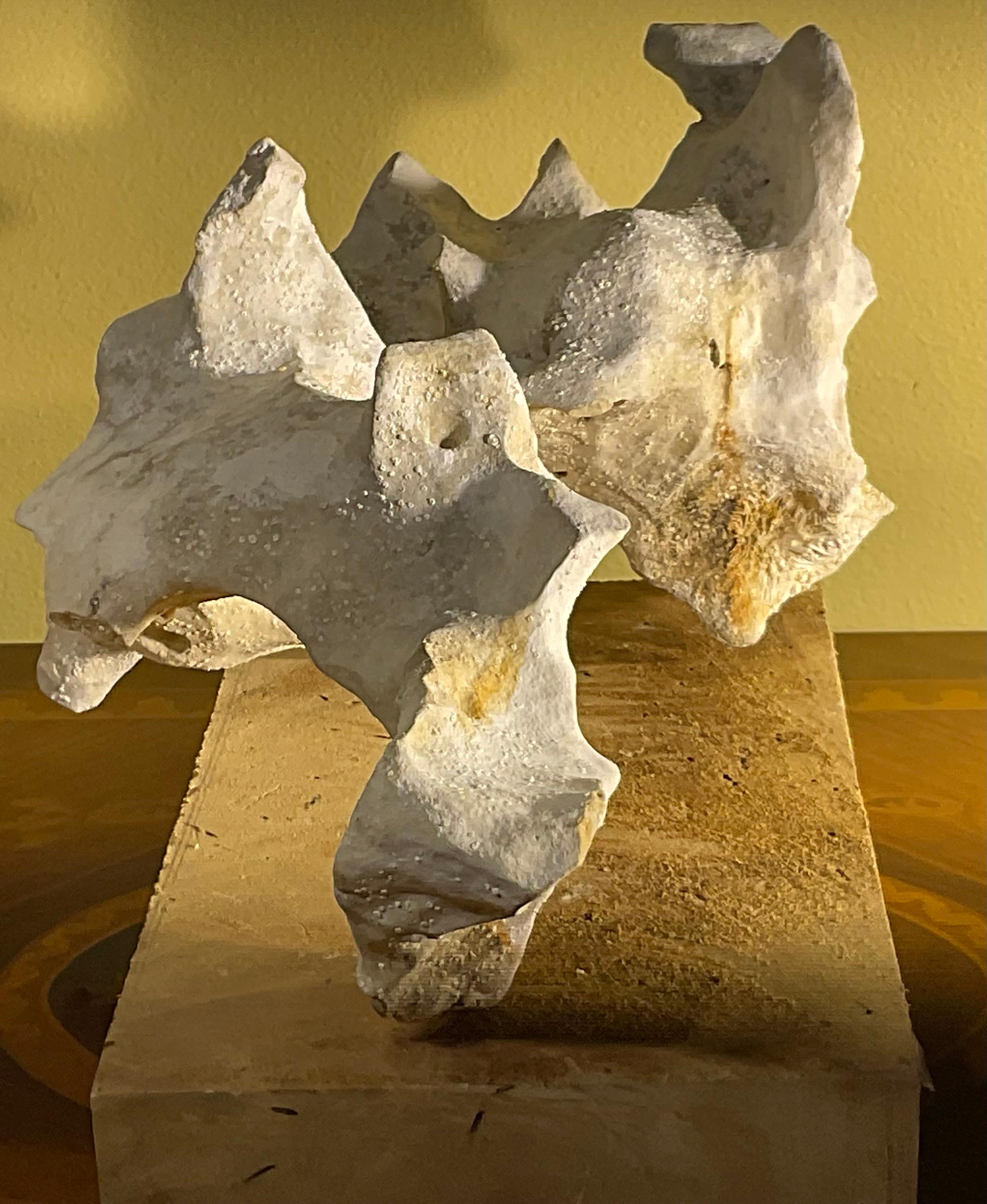 Pietra Scultura artistica in pietra naturale su base di legno di mango - Unique Organic Modern-Decor in vendita