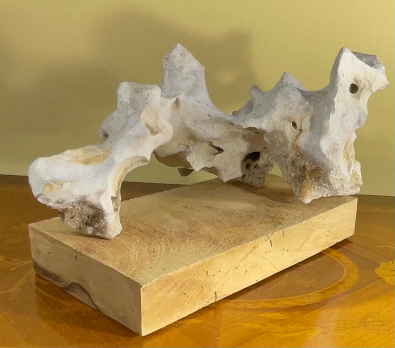 Scultura artistica in pietra naturale su base di legno di mango - Unique Organic Modern-Decor in vendita 1