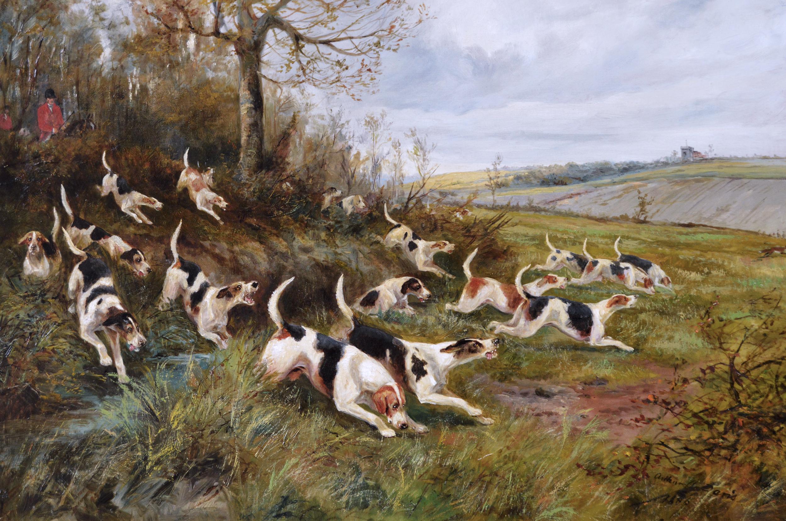 19th century sporting oil painting of dogs hunting - Painting by Arthur Alfred Davis