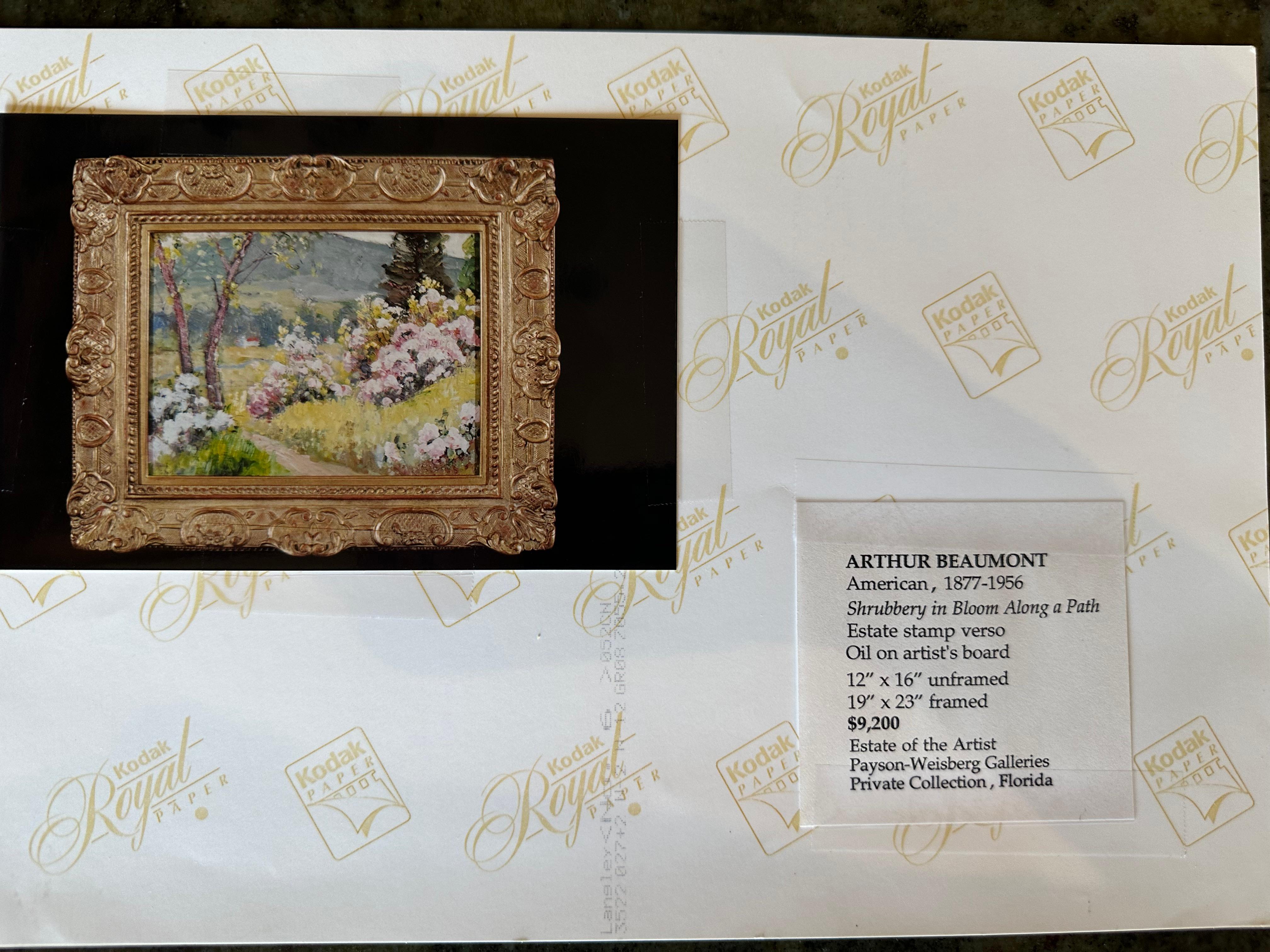 Arthur Beaumont, (Amerikaner, 20. Jahrhundert), Sträucher in Blüte im Angebot 2