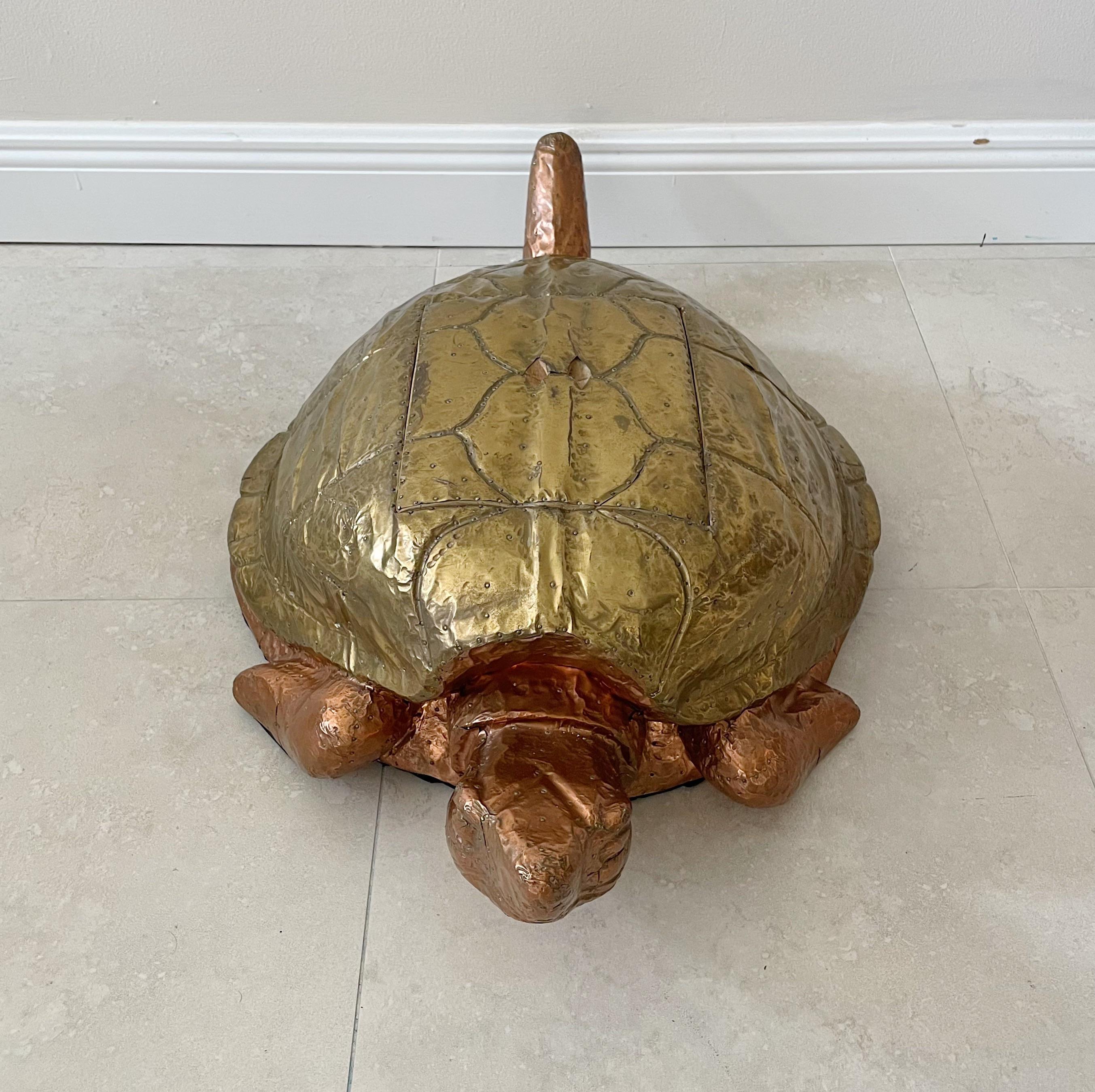arthur the turtle