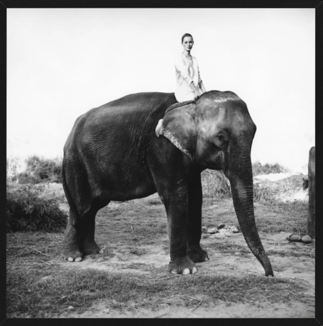 Kate Moss in Nepal, britische Vogue – Modell auf Elefanten, Kunstfotografie 1993 im Angebot 3