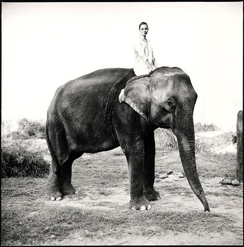 Kate Moss en Nepal, Vogue británico - Modelo sobre elefante, fotografía artística 1993