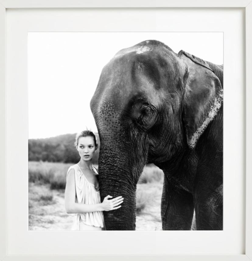 Kate Moss au Népal II - Portrait de modèle avec éléphant, photographie d'art, 1994 en vente 2