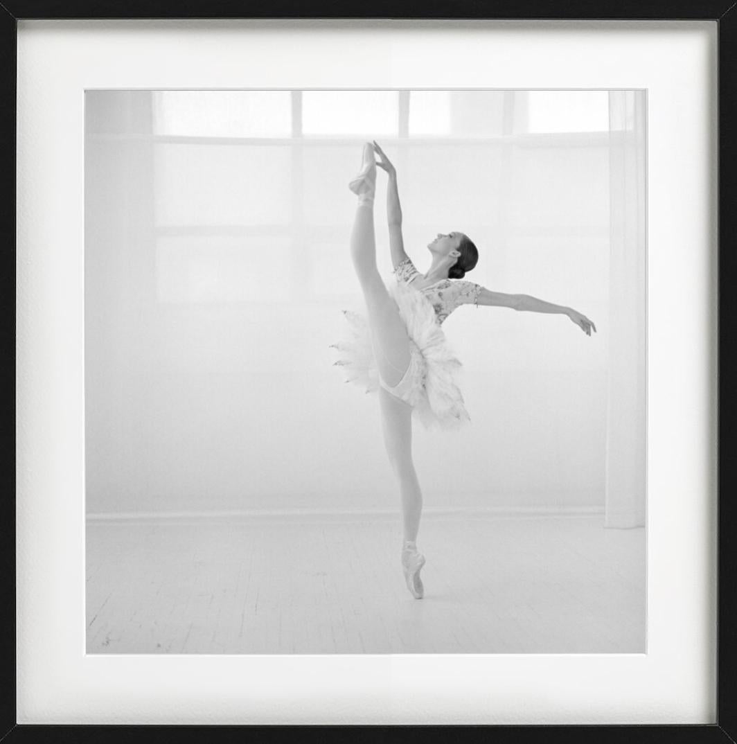 Maria Kowroski für das New York City Ballet, tanzend in einem weißen Tutu, fotografiert von Arthur Elgort im Jahr 1999.

Alle Drucke sind in limitierter Auflage erhältlich. Erhältlich in mehreren Größen. Hochwertige Einrahmung auf Anfrage.

Alle
