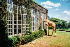 Rubbernecking, Giraffe Manor, Kenya, VOGUE