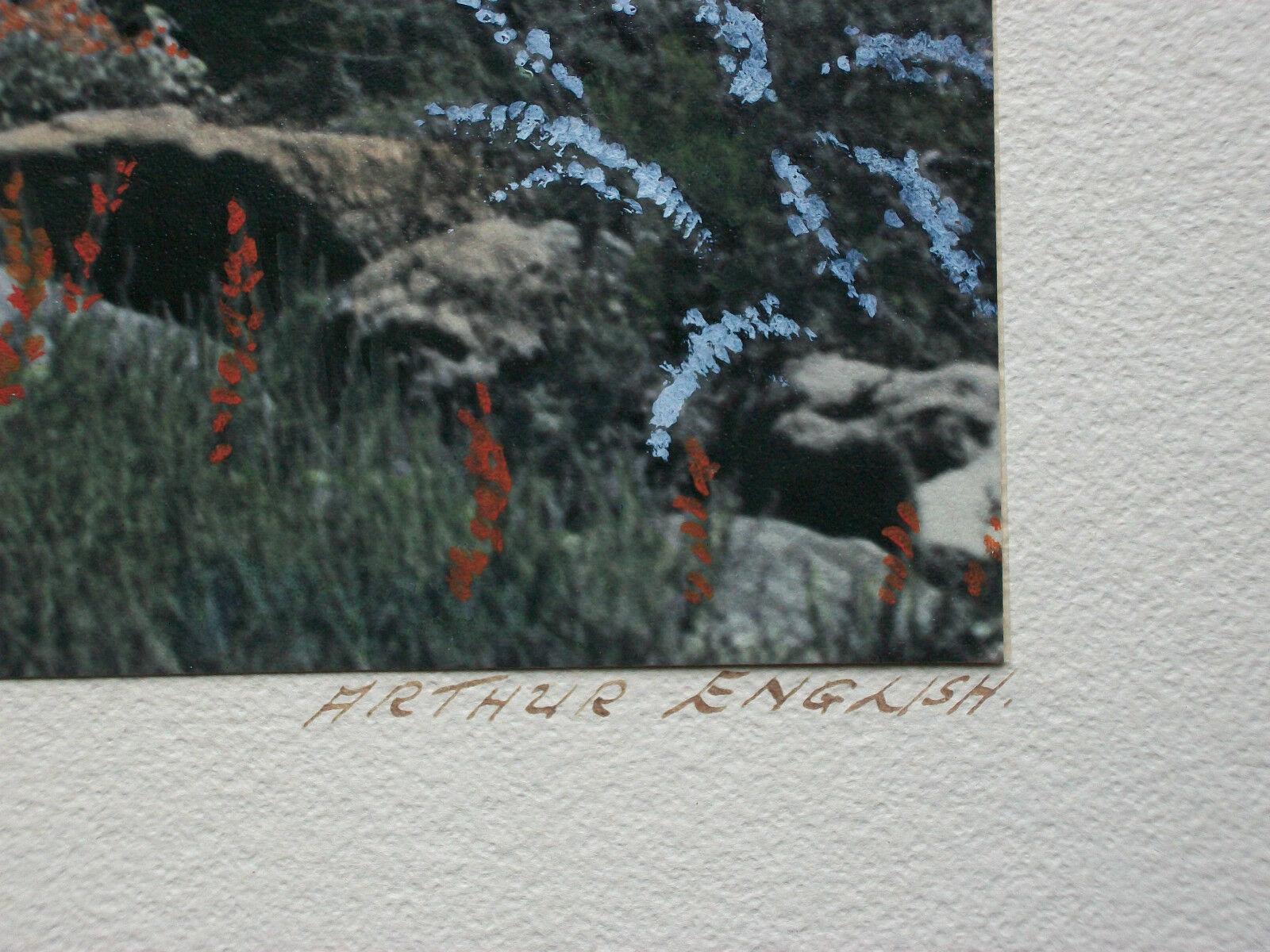 Hand-Crafted Arthur English, Hand Colored Photograph, Signed, South Africa, circa 1950's For Sale