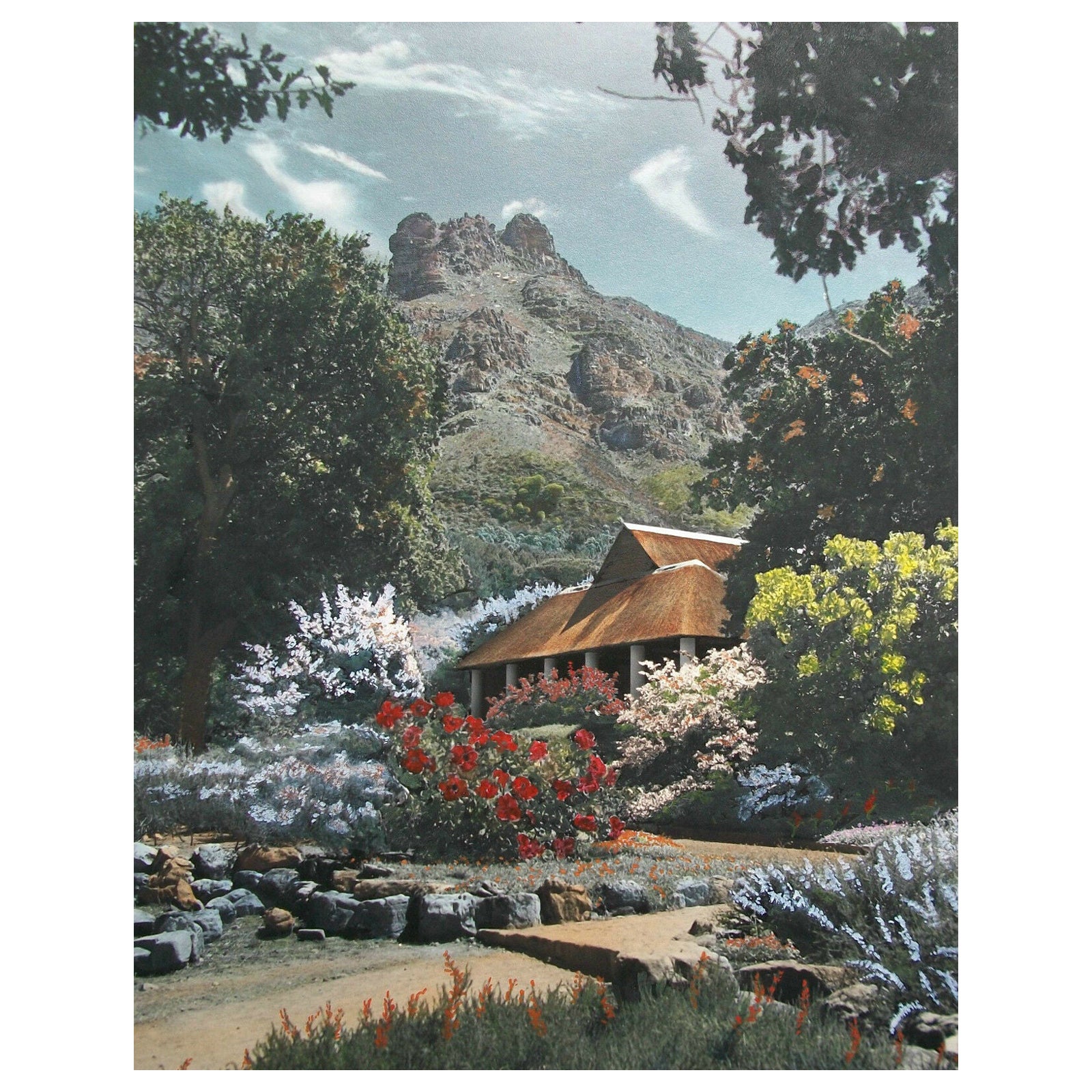 Arthur English, Hand Colored Photograph, Signed, South Africa, circa 1950's For Sale