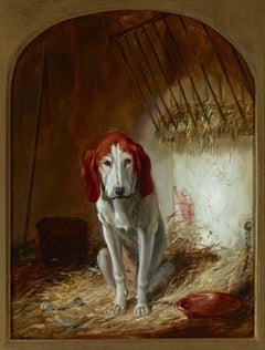 Il Mastino