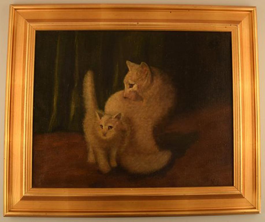 Arthur Heyer (1872-1931), Hungarian artist. 2 white cats in interior.
Mother and kitten. Oil on canvas.
Signed: Heyer.
Measures: 49 cm. x 38.5 cm. The frame measures 8 cm.
In perfect condition.