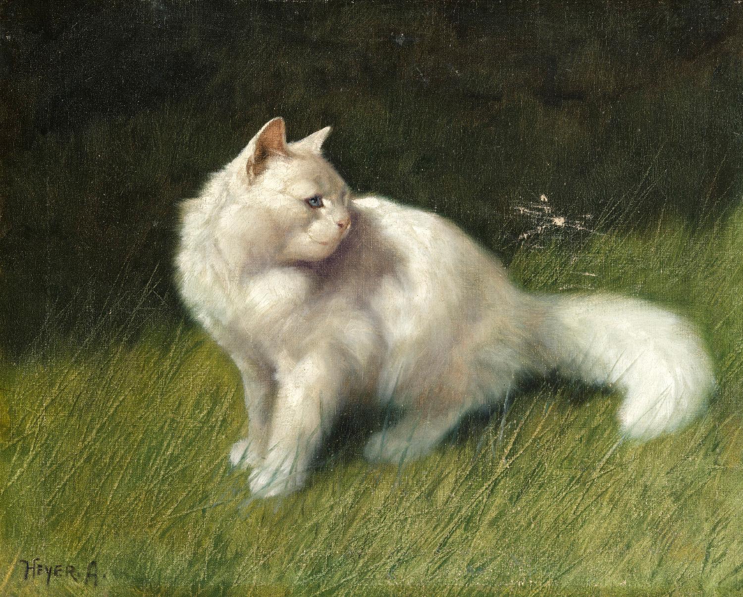 Arthur Heyer Animal Painting - Angorakatze