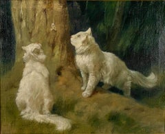 White Angora Cats