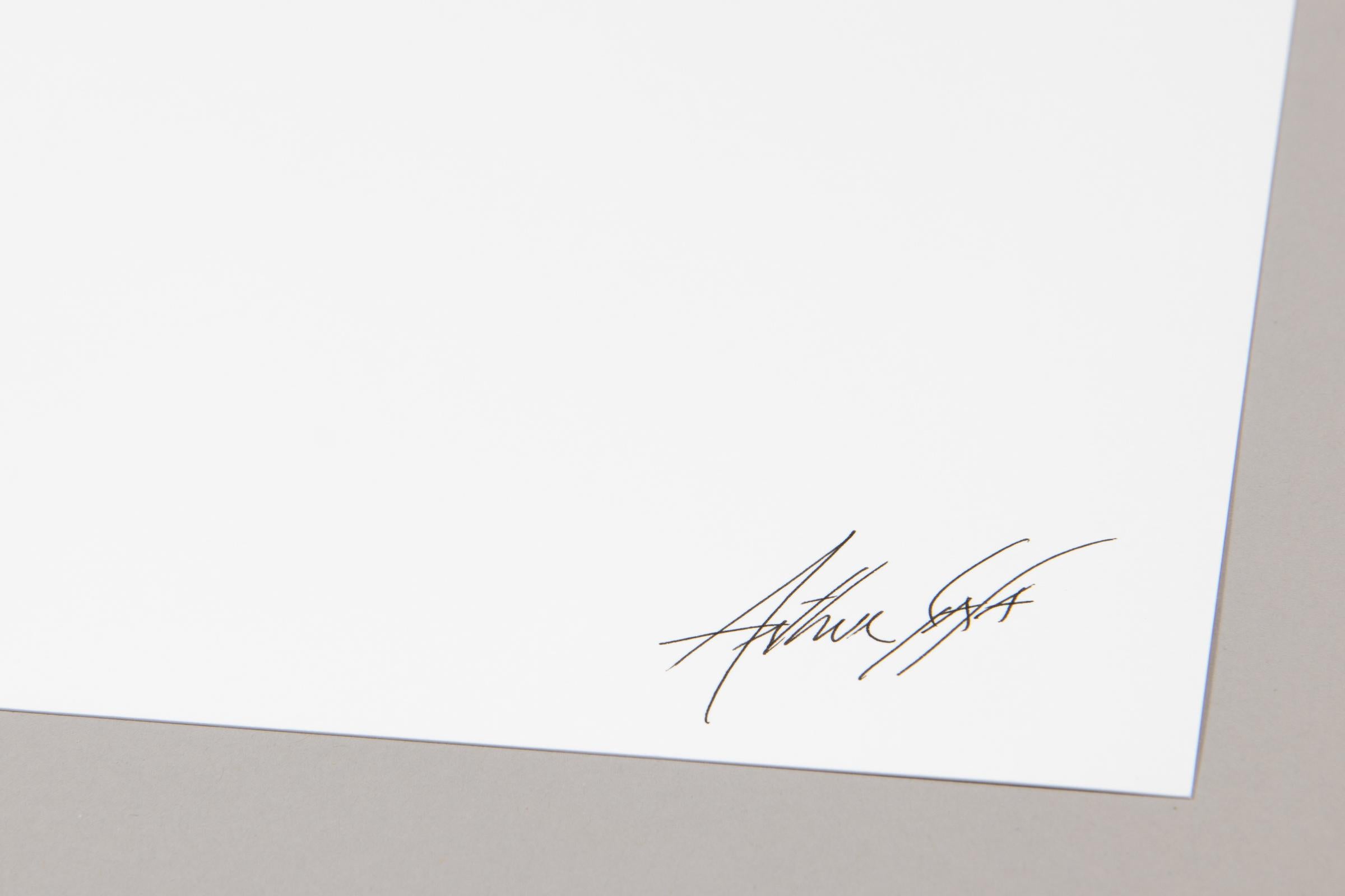 Arthur Jafa, LeRage - Stampa firmata, Arte contemporanea, Ritratto di Hulk in vendita 1