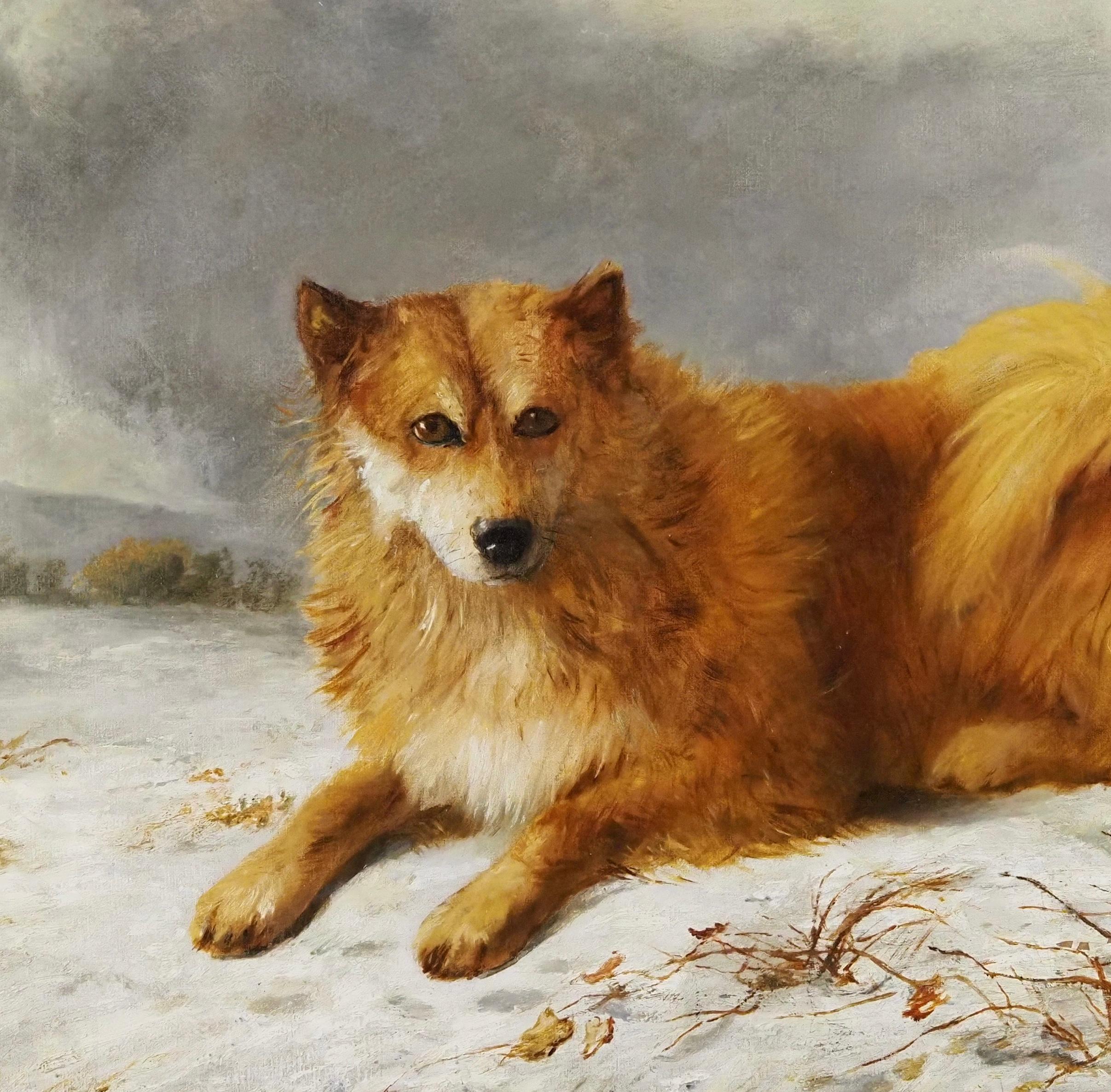 A Husky in a snowy landscape - Brown Animal Painting by Arthur James Stark