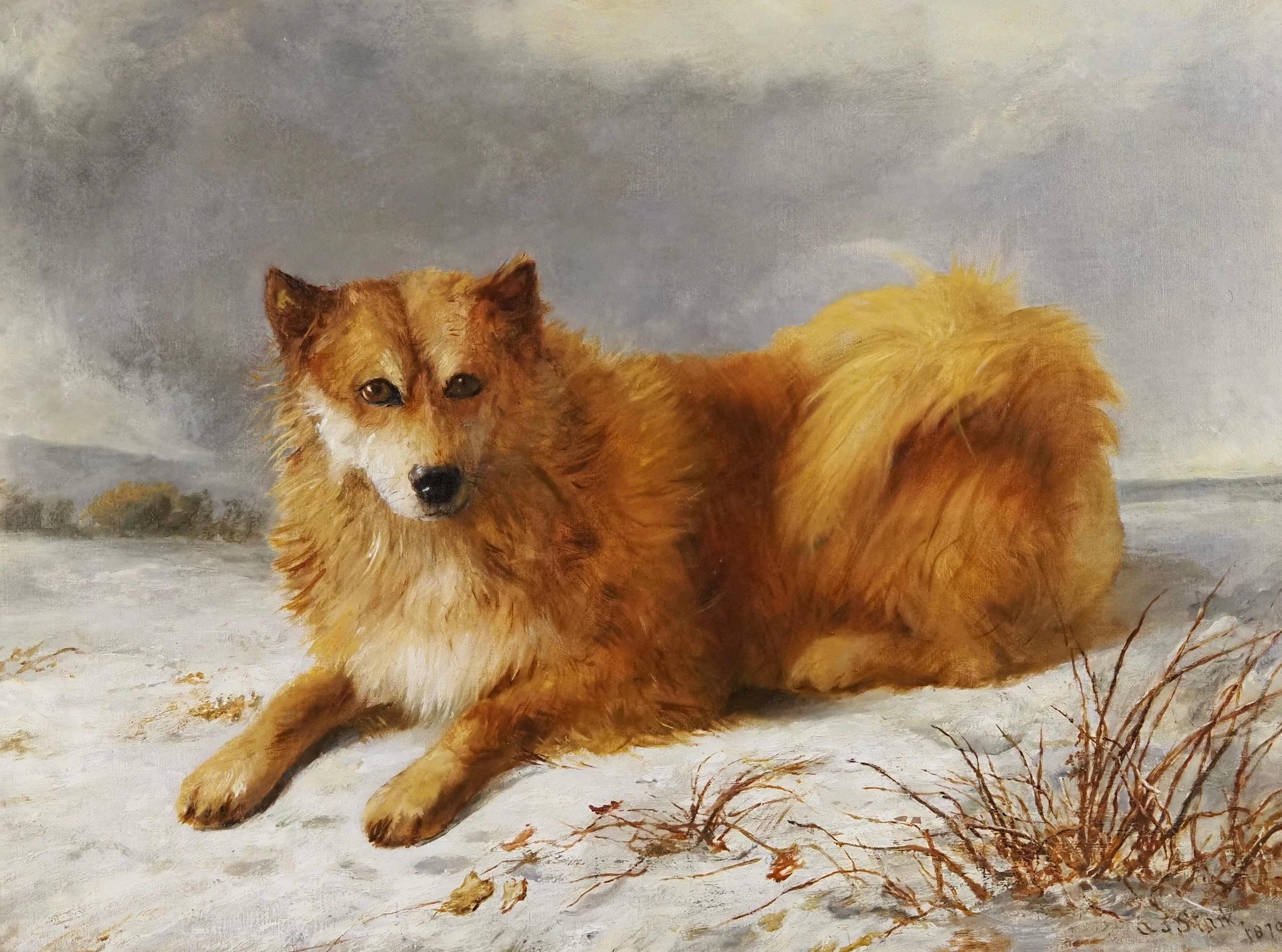 Arthur James Stark Animal Painting – Ein Husky in einer Schneelandschaft