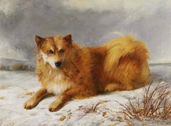 Antique A Husky in a snowy landscape