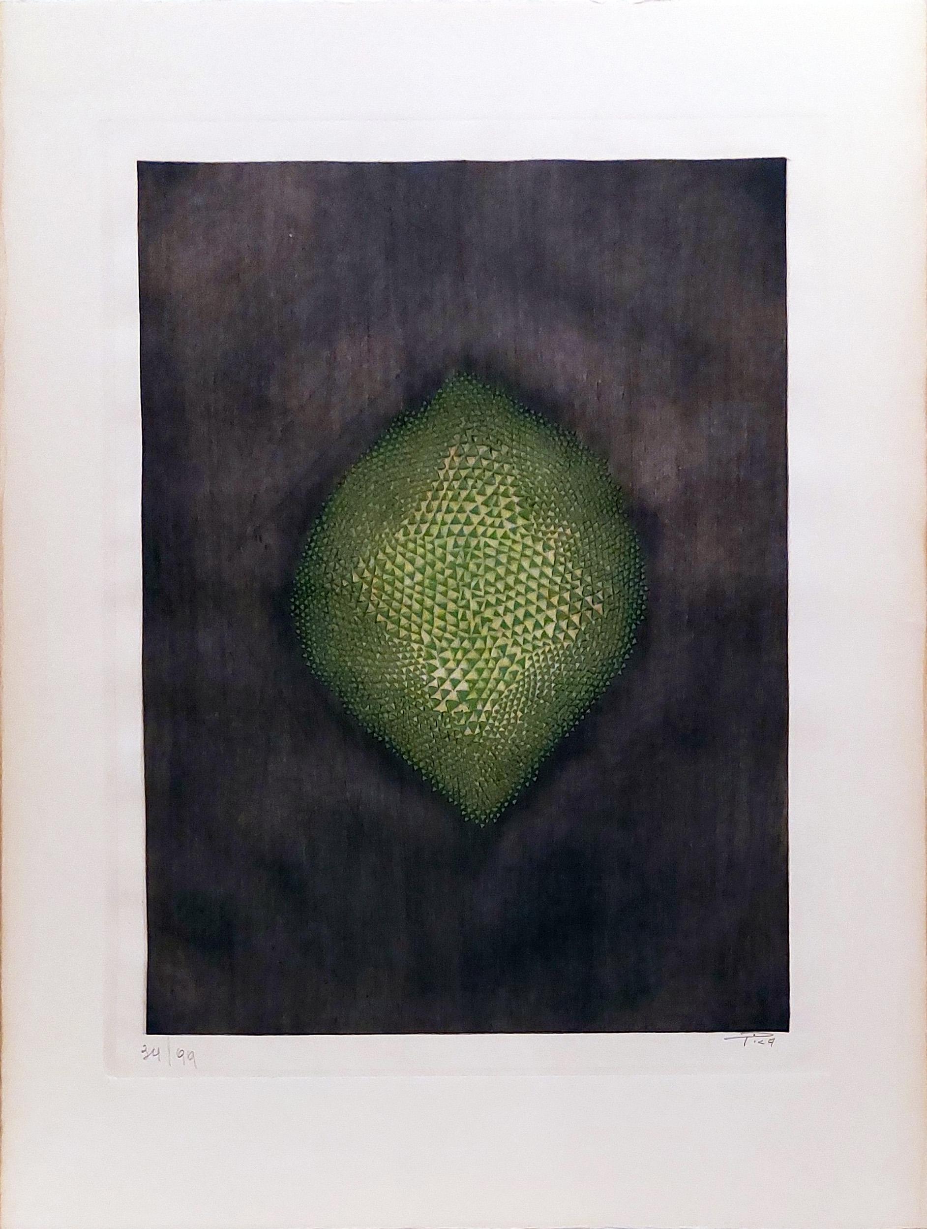 Arthur Luis Piza Abstract Print – Alcazar