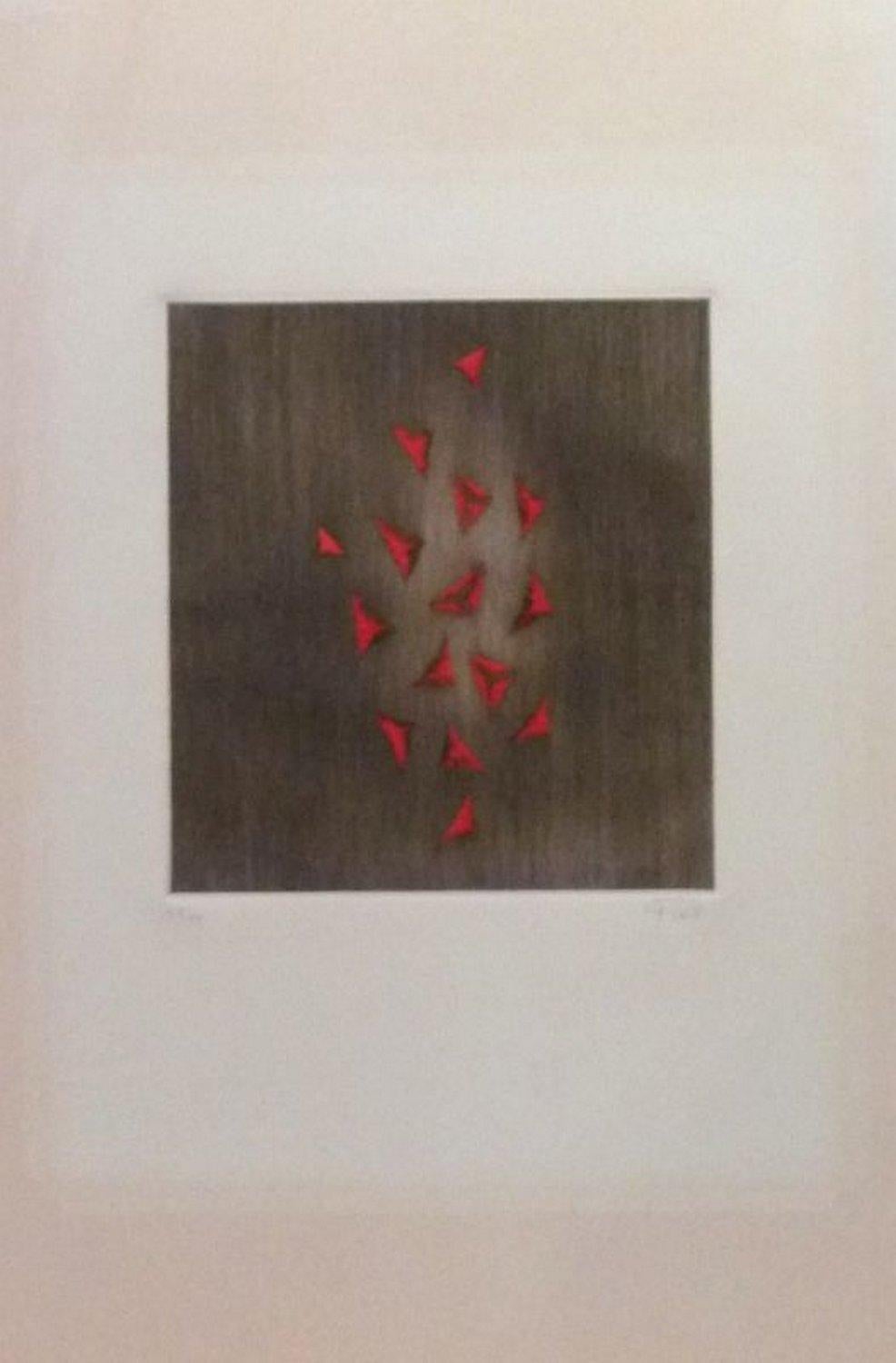 Arthur Luiz Piza Abstract Print - Eclat du rouge 